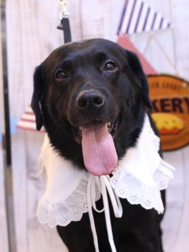 20240904フックくん